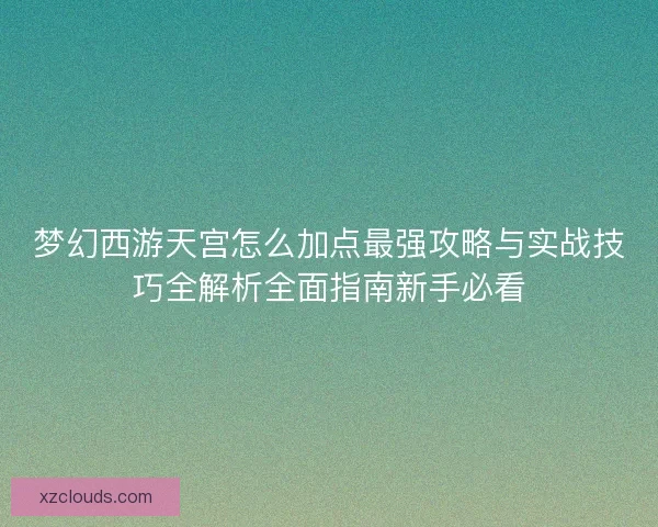 梦幻西游天宫怎么加点最强攻略与实战技巧全解析全面指南新手必看